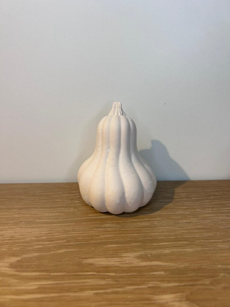 Foto Kürbis Lang einfach Gips