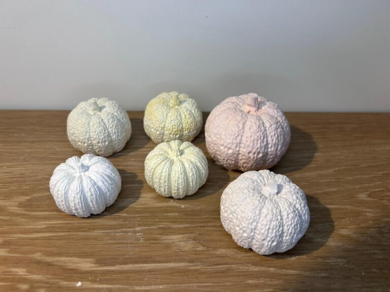 Foto Kürbis bunt mehrere