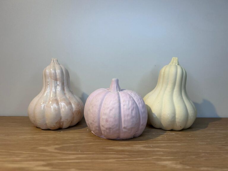 Foto trio Kürbis Gips